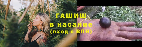 стаф Новозыбков