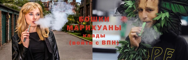 сатива Новокубанск