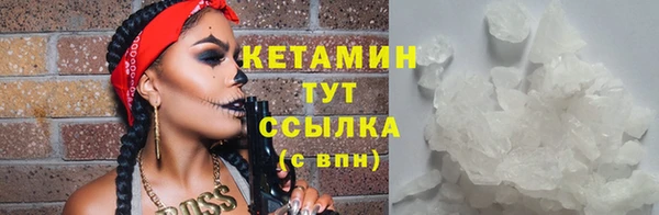стаф Новозыбков
