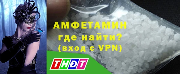 стаф Новозыбков