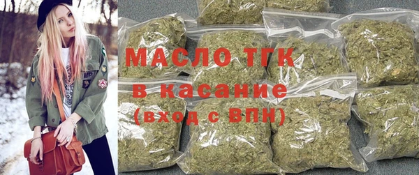 стаф Новозыбков