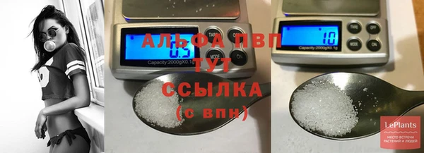 сатива Новокубанск