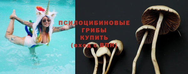 стаф Новозыбков