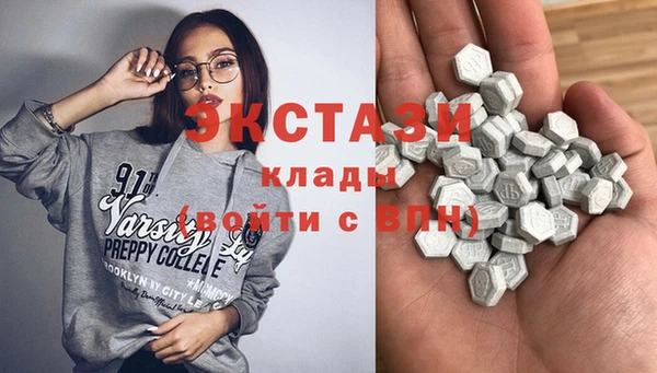 стаф Новозыбков