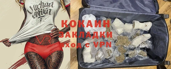 сатива Новокубанск