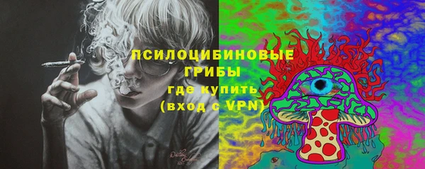 стаф Новозыбков