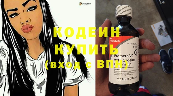 стаф Новозыбков