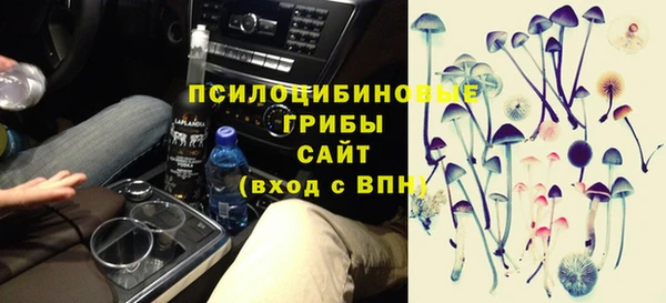 стаф Новозыбков