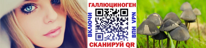 закладка  Апатиты  KRAKEN онион  Галлюциногенные грибы Psilocybine cubensis 