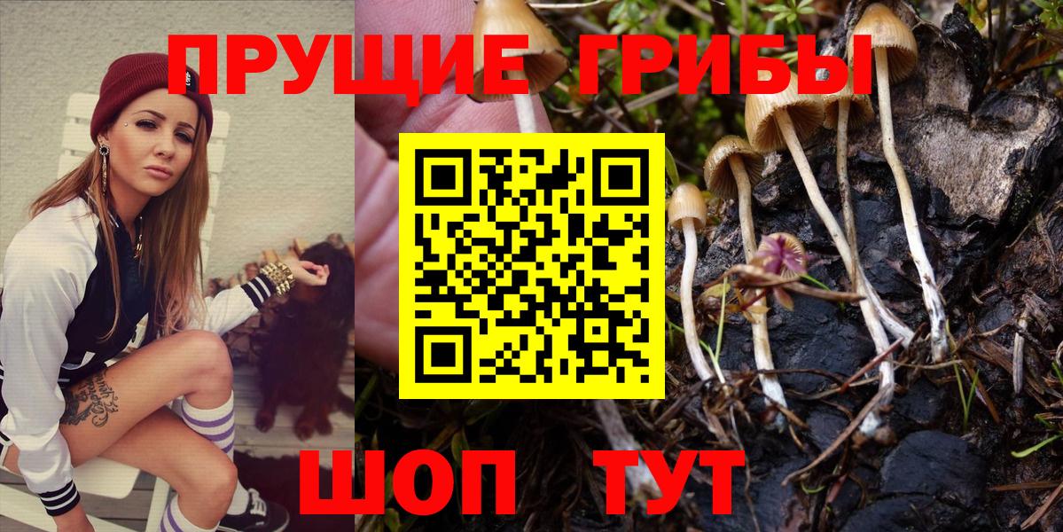 Псилоцибиновые грибы Magic Shrooms Апатиты
