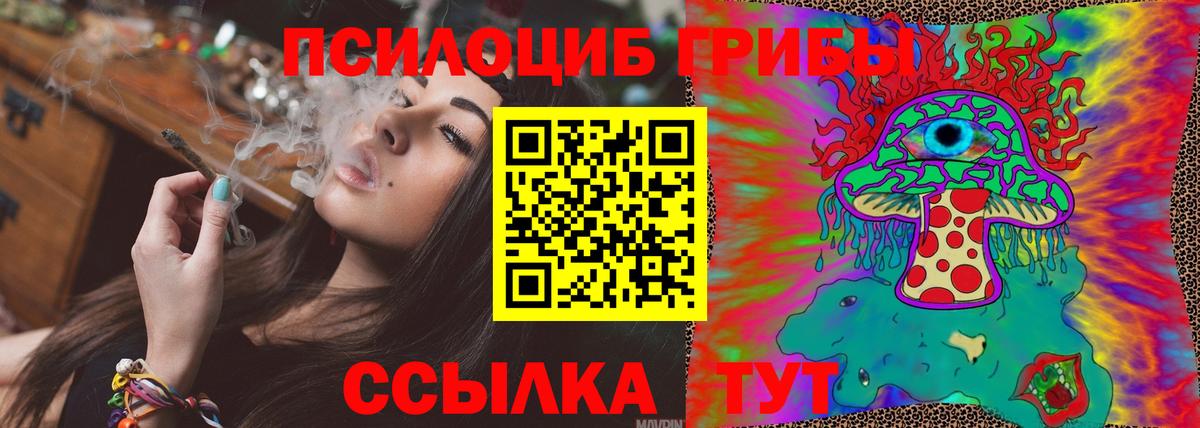 Псилоцибиновые грибы Psilocybe  Псилоцибиновые грибы Magic Shrooms  Апатиты  Вход с VPN 