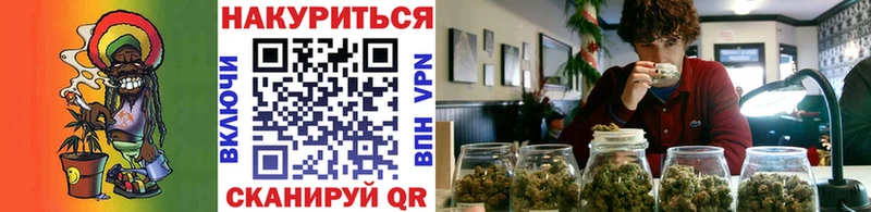 shop телеграм  где продают   Апатиты  Конопля ГИДРОПОН 